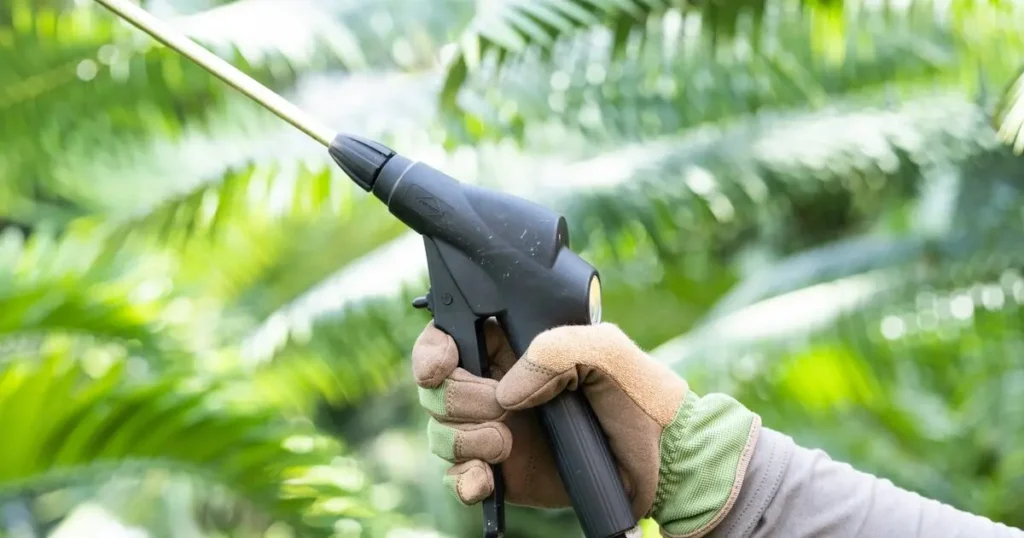 Pest control technician in protective gloves applying treatment spray with a pressure sprayer